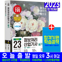 정보처리산업기사 실기 시험 교재 책 2023