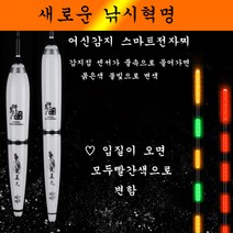 민물전자찌 변색전자찌, 100개, 초미인07