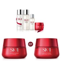 스킨파워 크림 80g 세트 (택1) 백화점 상품, 스킨파워 크림 80g 세트 택1, 스킨파워크림