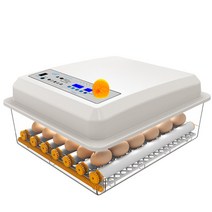 병아리부화기 자동병아리부화기 달걀부화기 계란부화기, 트루그린 36매 클래식 단전