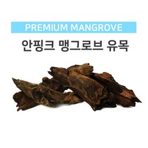 [모비딕] 맹그로브유목(소) [15-19cm]