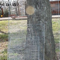 일회용 바베큐 석쇠 중 1p 바비큐 구이판 일회용 1회용 불판 그릴 일회용불판 숯불 피우기 캠핑불판 제작 캠핑용 스텐 화로 구이 야외용고기불판 바베큐용품 일회용석쇠 태망석쇠 바베큐석쇠 1회용석쇠 캠핑불판 석쇠불판 숯불불판
