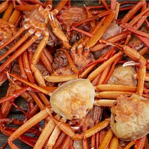 당일조업 구룡포 자숙 연지홍게 프리미엄 1.5kg, 1개