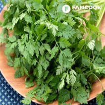 [팸쿡] 가락시장직송 처빌 100g, 상세 설명 참조