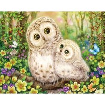 세진 DIY 보석십자수 3D 72가지 신제품 새로운 취미생활 보석 십자수 보석십자수, 34x44 복과 운, 1세트