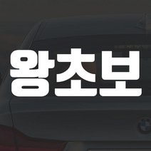 어른킹 빅사이즈 왕초보 C타입 포인트 컬러 데칼 스티커 자동차 드레스업 익스테리어 방수 시트지, C타입- 경차/RV(75x27cm) -홀로그램