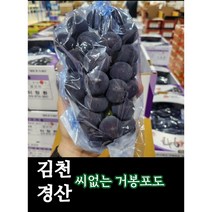 고당도 씨없는 거봉포도 김천 경산원산지 1kg부터 ~, 1kg, 1개