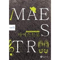 [개똥이네][중고-상] 마에스트로