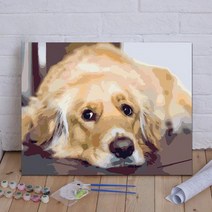 백드롭페인팅 diy유화그리기 강아지 골든리트리버, 옵션 2, 60x75