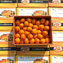 제주 귤림원 감귤 1.5kg /3kg /4.5kg, 3kg /2S~M/35~50입/60~107g내