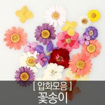 압화 꽃모음 - 꽃송이 장미(20개)_블랙장미(자연), 1개