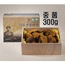 상항 장수 상황 버섯 류충현 안동 참나무 식용 상황버섯 목질진흙버섯 중품 300g