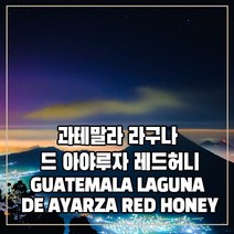 (커피생두) 57 과테말라 라구나 드 아야루자 레드허니 500g