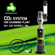 TOP 미니 고압 CO2 95g 세트 V-AP-010 수족관 고압 이탄 공급 세트, 1