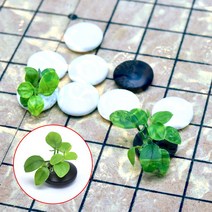 수초-검정바둑알 미니 골든나나활착-작고 귀여운 어항꾸미기