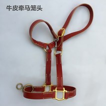 승마 독마장비 용품 인기있는 말 굴레를 잡기 위해 미친 폴리 에스테르 굴레 세트 말 산책 수도꼭지 넥타이 말 짚 굴레 소가죽, 말용 헤드 레이어 소가죽 굴레 1.3-1.7 미터