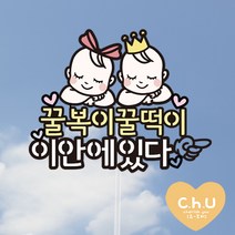 츄토퍼- 쌍둥이 아기 태교여행 만삭촬영 토퍼, 리본+리본아기, 이안에~ 있다