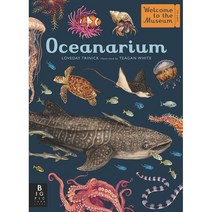 Oceanarium: Welcome to the Museum, Big Picture Press