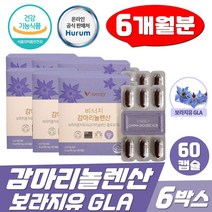 GLA 보라지유 콜레스테롤 오메가6 뉴질랜드 감마리놀렌산 60캡슐 6박스 월경전증후군 보라지꽃종자유
