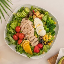 유기농 다이어트 샐러드 도시락 닭가슴살 샐러드 배송