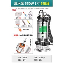 워터 펌프 수중 수영장 물 빼기 배수 양수기 잠수 흡입, 550W1인치물펌프-5미터라인10미터파이프