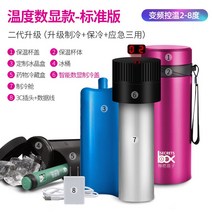인슐린 보냉 가방 보관 휴대용 보냉팩 케이스 보냉백 냉장고 의약품, E 스마트디지털 디스플레이(레드)-사진참조