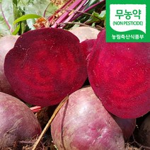 직송 해남 햇 무농약 비트 레드비트 알비트, 1박스, 5kg (약 20~29개 내외)
