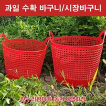 한누리팜마트 참외바구니 시장바구니 과일수확바구니 빨래바구니 (중 10kg용), 1개