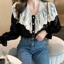 _ 빅카라 레이스 벨벳 블라우스 하객룩 페미닌 긴팔티