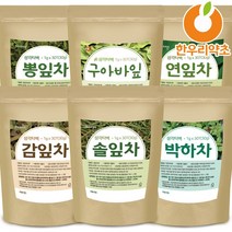 박하차 솔잎차 구아바차 연잎차 감잎차 뽕잎차 삼각티백 효능, 2_구아바차100g