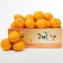 (롯데백화점)(넉넉) 제주 레드향 4.5KG 중과(16과-24과) 귤/감귤보다 레드향
