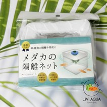 세리아 메다카 치어 격리통 송사리 알 산란 물고기 새끼 부화통
