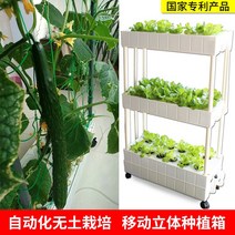 가정용 식물재배기 수경재배기 식물 재배기 실내 발코니 무토재배설비 수배채소 재배상자 농채신기 가정텃밭, 옵션10, 크다