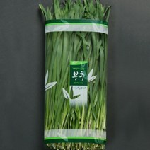 야채봉투 부추포장 필름 C-42 부추 1묶음(200장)