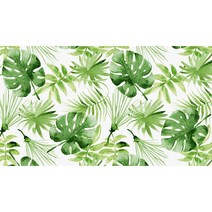 디아이디 고급합지 장폭 박스판매 30평 33154-1 그리너리 그린, 부천시