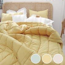 이즈베딩 플레인 고밀도 마이크로화이바 알러지케어 먼지없는 에어로워싱 간절기 차렵이불 (SS/Q)