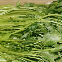 참나물(특) 4kg 1박스 자연대로팜웨이, 참나물 4kg