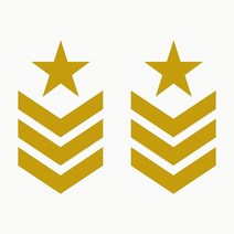 랩핑 데칼 끈적 오프로드 스티커 군사 스타 갤런 미국 육군 모험 스포츠 팩 단위 자동차 자전거 오토바이, 05 주황색_03 20cm