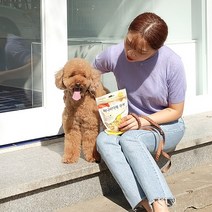 강아지 장건강 면역 눈 뼈 국내산 수제간식 과자 쿠키, 1개, 눈건강단호박