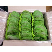 [GAP인증]도레미마켓 밀양깻잎 찹찹이 500g 산지직송 전문농장 당일수확, 깻잎500g, 1개