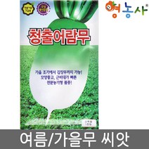 청출어람무씨앗 1000립