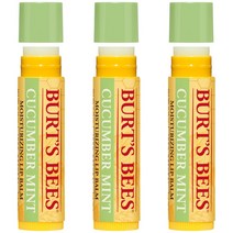 버츠비 모이스처라이징 립 밤, Cucumber Mint, 3개