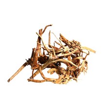 가지유목 30cm전후-어항용 자연소재 천연나무/헬로아쿠아, 1개