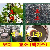 효소/오디진액/1 리터/ 식용오디/재래뽕/청일뽕