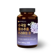 밸런스터치 수국잎 열수추출물 효능 이너뷰티 신소재 하이드란제놀 AMPK, 1통 [2개월분]