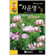 자운영 500립 / 씨앗 종자 꽃씨 꽃밭만들기 화단만들기