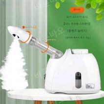 헤어스팀기 머리 가습기 홈케어 모발 수분 관리실, B