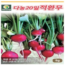 20일적환무 씨앗 5g