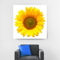 세잔느화실 [풍수 해바라기 황금사과 12종 캔버스프레임 ] 연예인그림액자 풍수지리그림 골드해바라기 황금사과 캔버스그림액자 인테리어소품 두꺼비집가리개, 12.해바라기 일러스트5