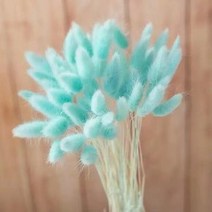 토끼 꼬리 말린 꽃 솜털 팜파스 잔디 소박한 웨딩 장식 홈 30 개, 14 qian blue_02 100pcs